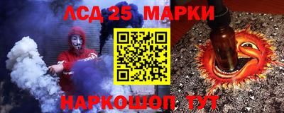 a pvp Новозыбков