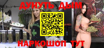 a pvp Новозыбков