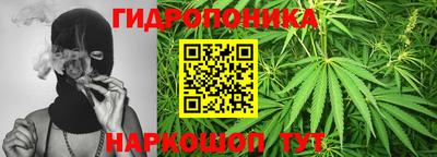 a pvp Новозыбков