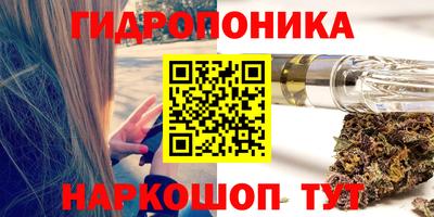 a pvp Новозыбков