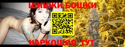 a pvp Новозыбков