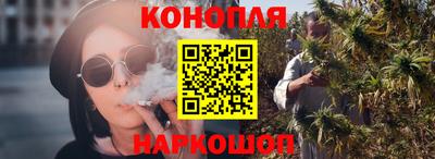 a pvp Новозыбков