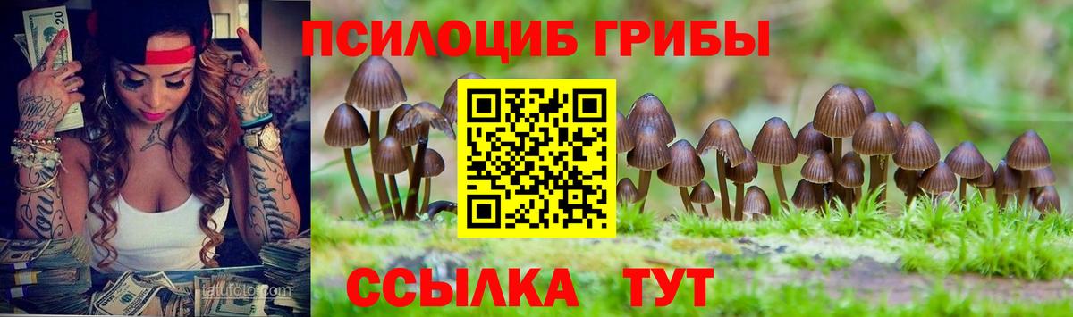 Псилоцибиновые грибы Magic Shrooms Строитель