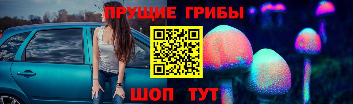Строитель  Псилоцибиновые грибы ЛСД  Вход с VPN 